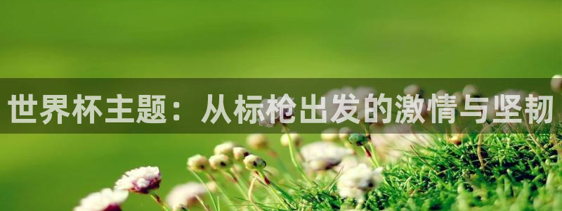 世界杯在线直播：世界杯主题：从标枪出发的激情与坚韧
