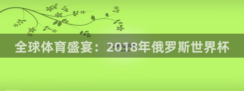 世界杯2026预选赛：全球体育盛宴：2018年俄罗斯世界杯