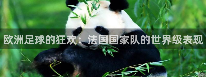 世俱杯直播：欧洲足球的狂欢：法国国家队的世界级表现