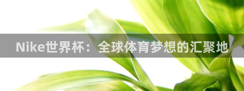世界杯球队排名：Nike世界杯：全球体育梦想的汇聚地