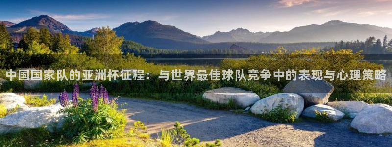 2026世界杯欧洲预选赛赛程表：中国国家队的亚洲杯征程：与世界最佳球队竞争中的表现与心理策略