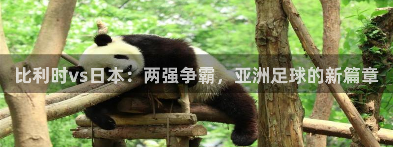 欧洲世预赛赛程表：比利时vs日本：两强争霸，亚洲足球的新篇章