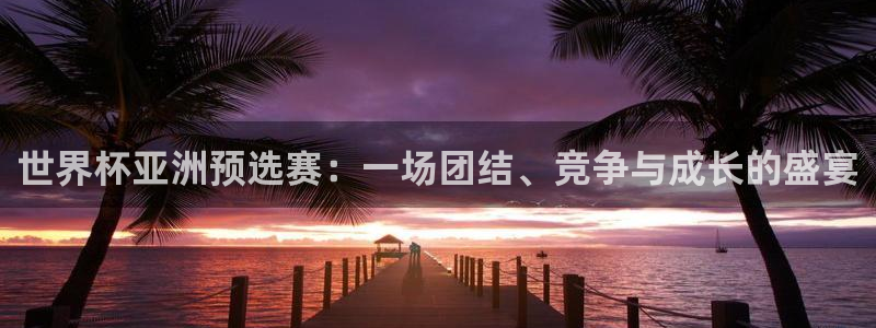 预选赛世界杯：世界杯亚洲预选赛：一场团结、竞争与成长的盛宴