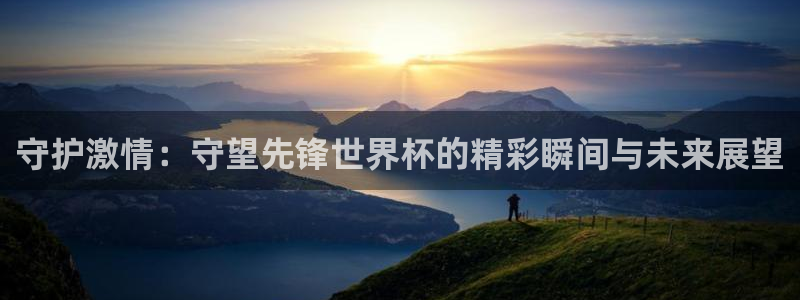 2006年世界杯冠军：守护激情：守望先锋世界杯的精彩瞬间与未来展望
