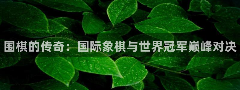 世界杯足球比赛：围棋的传奇：国际象棋与世界冠军巅峰对决